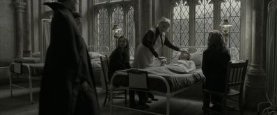 EmmaWatsonFan_dot_nl-HarryPotterAndTheHalfBloodPrince5325.jpg