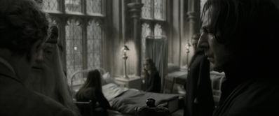 EmmaWatsonFan_dot_nl-HarryPotterAndTheHalfBloodPrince5362.jpg