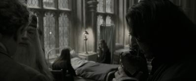 EmmaWatsonFan_dot_nl-HarryPotterAndTheHalfBloodPrince5363.jpg