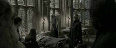 EmmaWatsonFan_dot_nl-HarryPotterAndTheHalfBloodPrince5369.jpg