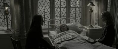 EmmaWatsonFan_dot_nl-HarryPotterAndTheHalfBloodPrince5377.jpg