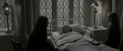 EmmaWatsonFan_dot_nl-HarryPotterAndTheHalfBloodPrince5378.jpg