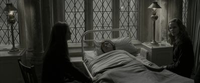 EmmaWatsonFan_dot_nl-HarryPotterAndTheHalfBloodPrince5380.jpg