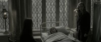 EmmaWatsonFan_dot_nl-HarryPotterAndTheHalfBloodPrince5382.jpg