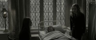 EmmaWatsonFan_dot_nl-HarryPotterAndTheHalfBloodPrince5385.jpg