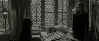 EmmaWatsonFan_dot_nl-HarryPotterAndTheHalfBloodPrince5387.jpg