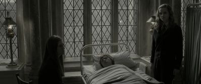 EmmaWatsonFan_dot_nl-HarryPotterAndTheHalfBloodPrince5388.jpg