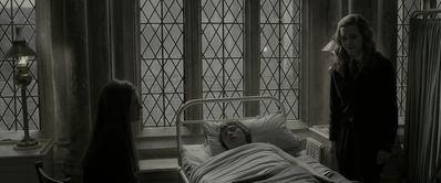 EmmaWatsonFan_dot_nl-HarryPotterAndTheHalfBloodPrince5397.jpg