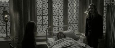 EmmaWatsonFan_dot_nl-HarryPotterAndTheHalfBloodPrince5398.jpg