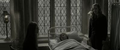 EmmaWatsonFan_dot_nl-HarryPotterAndTheHalfBloodPrince5399.jpg