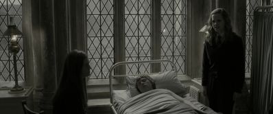 EmmaWatsonFan_dot_nl-HarryPotterAndTheHalfBloodPrince5400.jpg