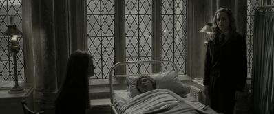 EmmaWatsonFan_dot_nl-HarryPotterAndTheHalfBloodPrince5401.jpg