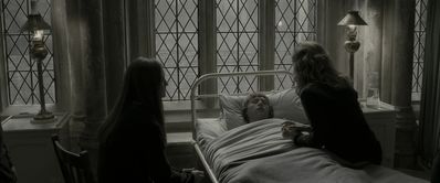 EmmaWatsonFan_dot_nl-HarryPotterAndTheHalfBloodPrince5435.jpg