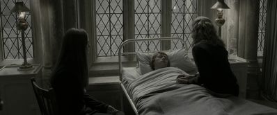 EmmaWatsonFan_dot_nl-HarryPotterAndTheHalfBloodPrince5446.jpg