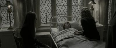 EmmaWatsonFan_dot_nl-HarryPotterAndTheHalfBloodPrince5447.jpg