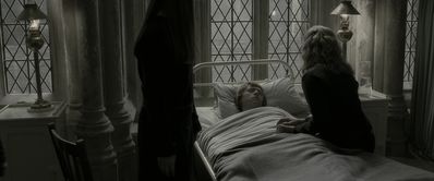 EmmaWatsonFan_dot_nl-HarryPotterAndTheHalfBloodPrince5449.jpg