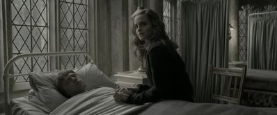 EmmaWatsonFan_dot_nl-HarryPotterAndTheHalfBloodPrince5460.jpg