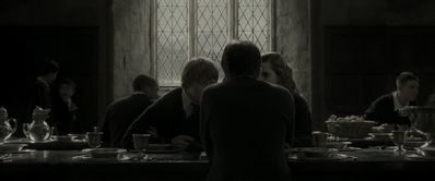 EmmaWatsonFan_dot_nl-HarryPotterAndTheHalfBloodPrince5621.jpg