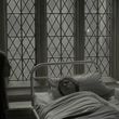 EmmaWatsonFan_dot_nl-HarryPotterAndTheHalfBloodPrince5387.jpg