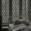 EmmaWatsonFan_dot_nl-HarryPotterAndTheHalfBloodPrince5388.jpg