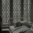 EmmaWatsonFan_dot_nl-HarryPotterAndTheHalfBloodPrince5396.jpg