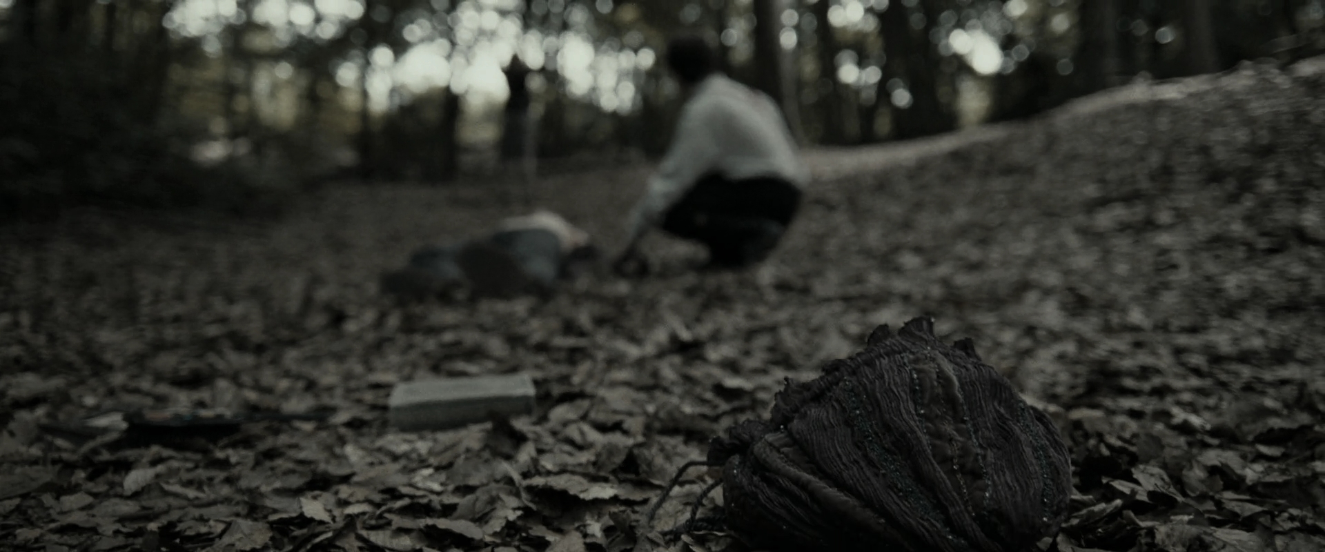 EmmaWatsonFan_dot_nl-HarryPotterAndTheDeathlyHallowsPart1-3815.jpg EmmaWatsonFan_dot_nl-HarryPotterAndTheDeathlyHallowsPart1-3815.jpg