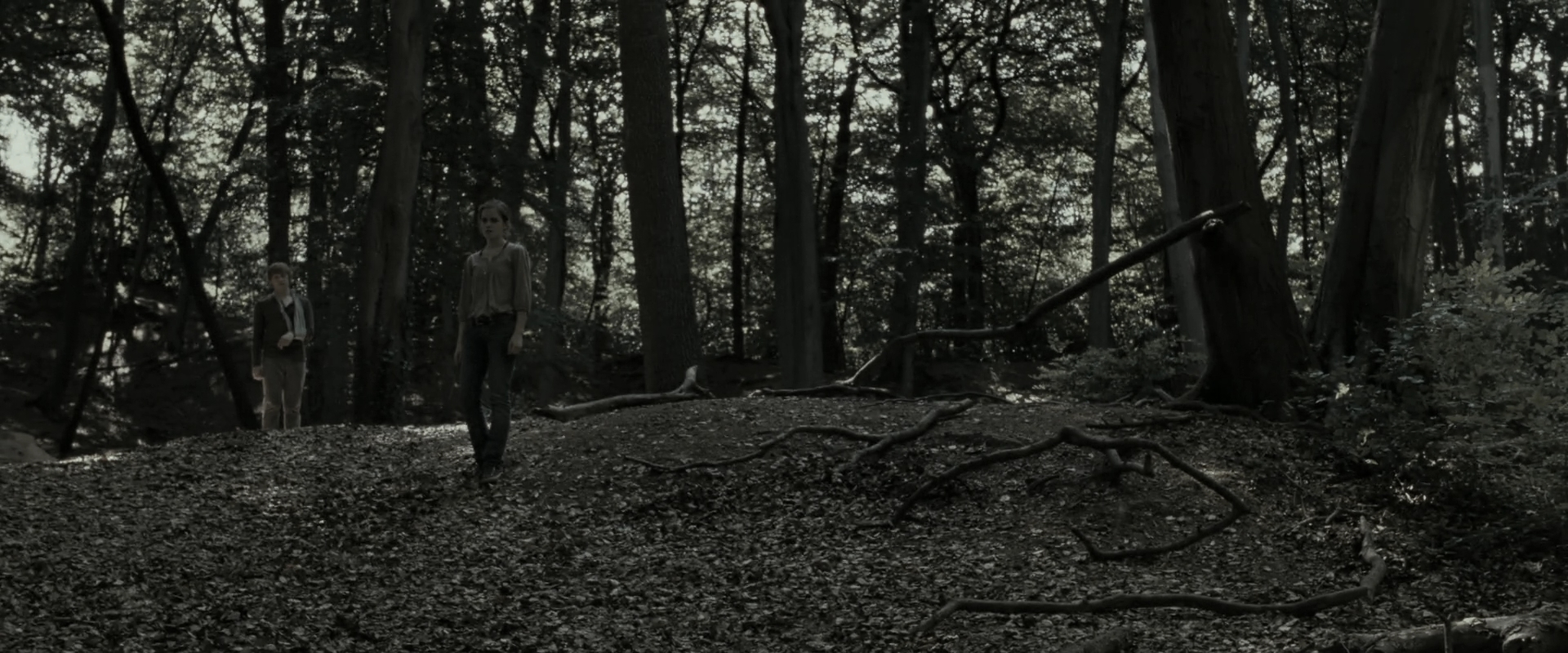 EmmaWatsonFan_dot_nl-HarryPotterAndTheDeathlyHallowsPart1-3913.jpg EmmaWatsonFan_dot_nl-HarryPotterAndTheDeathlyHallowsPart1-3913.jpg