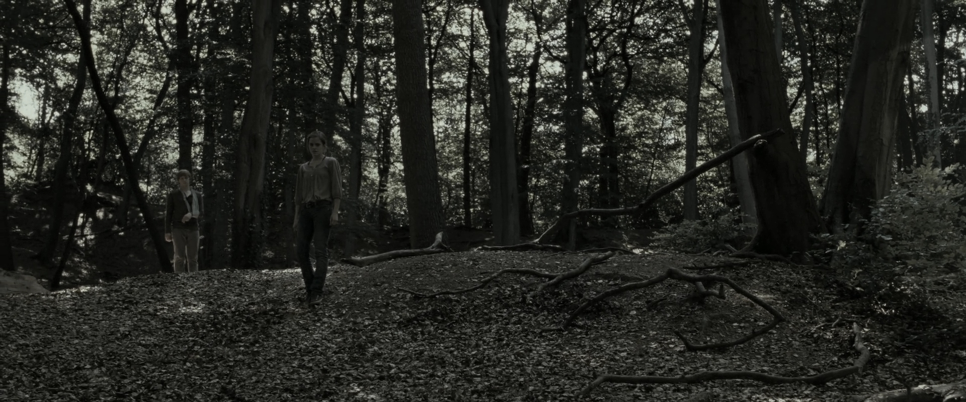 EmmaWatsonFan_dot_nl-HarryPotterAndTheDeathlyHallowsPart1-3916.jpg EmmaWatsonFan_dot_nl-HarryPotterAndTheDeathlyHallowsPart1-3916.jpg