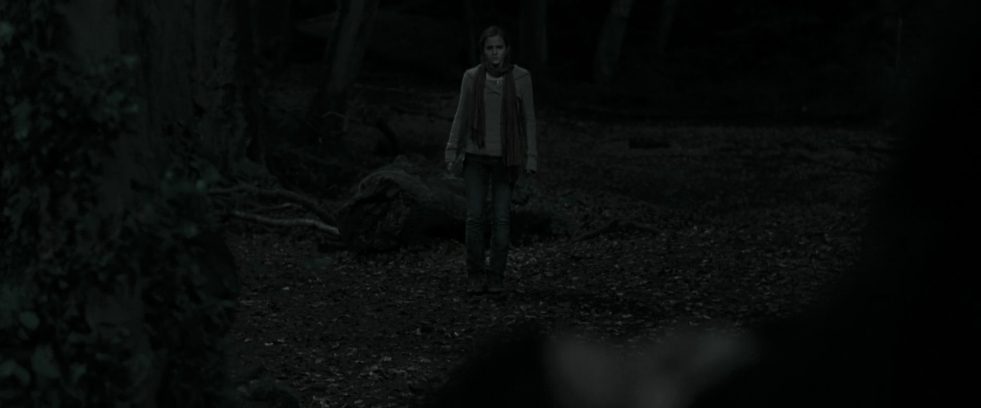 EmmaWatsonFan_dot_nl-HarryPotterAndTheDeathlyHallowsPart1-4153.jpg EmmaWatsonFan_dot_nl-HarryPotterAndTheDeathlyHallowsPart1-4153.jpg