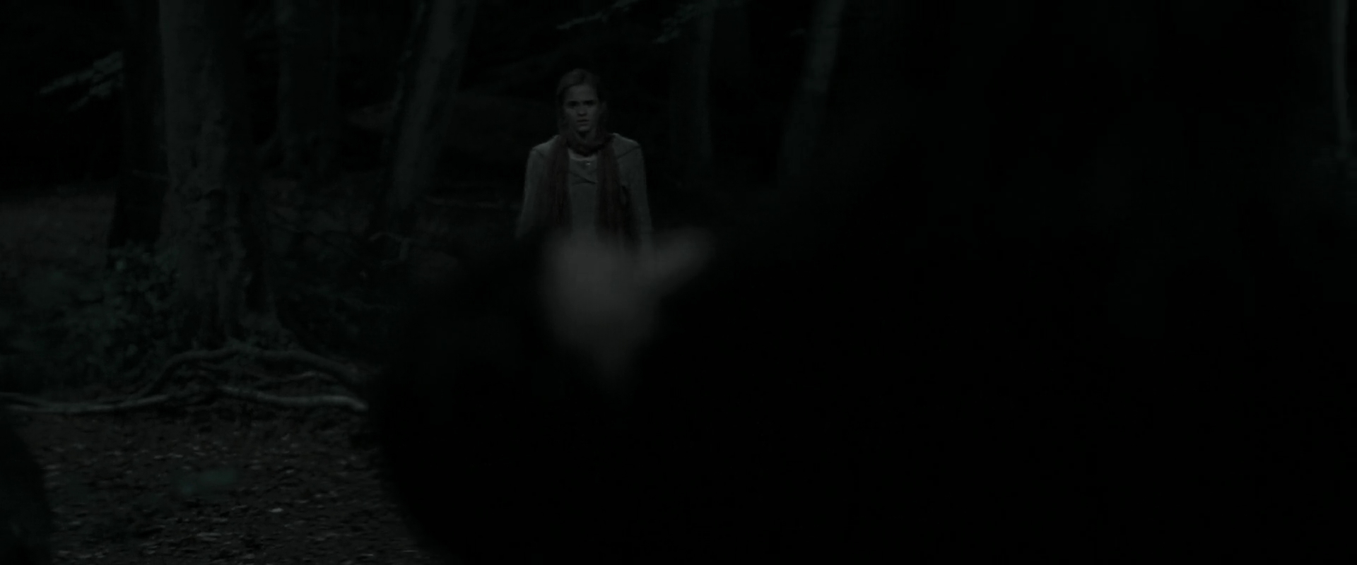 EmmaWatsonFan_dot_nl-HarryPotterAndTheDeathlyHallowsPart1-4155.jpg EmmaWatsonFan_dot_nl-HarryPotterAndTheDeathlyHallowsPart1-4155.jpg