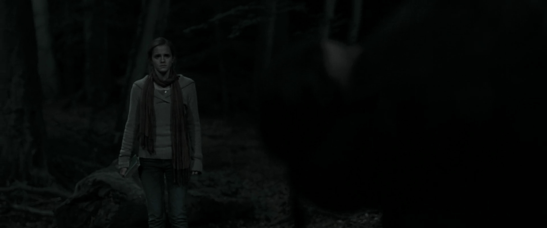 EmmaWatsonFan_dot_nl-HarryPotterAndTheDeathlyHallowsPart1-4158.jpg EmmaWatsonFan_dot_nl-HarryPotterAndTheDeathlyHallowsPart1-4158.jpg