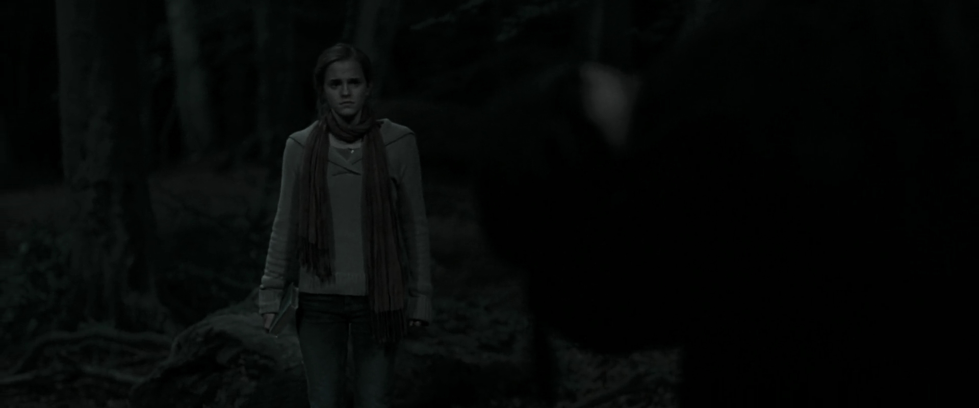 EmmaWatsonFan_dot_nl-HarryPotterAndTheDeathlyHallowsPart1-4159.jpg EmmaWatsonFan_dot_nl-HarryPotterAndTheDeathlyHallowsPart1-4159.jpg