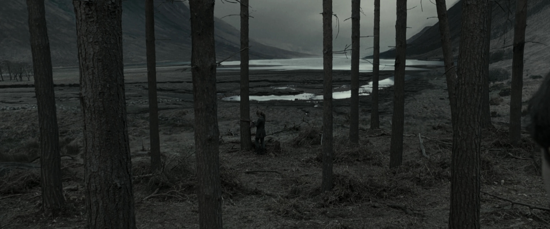 EmmaWatsonFan_dot_nl-HarryPotterAndTheDeathlyHallowsPart1-4588.jpg EmmaWatsonFan_dot_nl-HarryPotterAndTheDeathlyHallowsPart1-4588.jpg