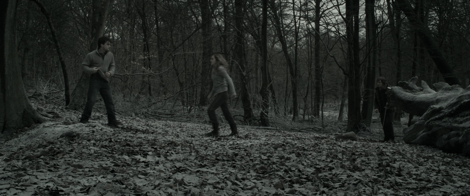 EmmaWatsonFan_dot_nl-HarryPotterAndTheDeathlyHallowsPart1-6008.jpg EmmaWatsonFan_dot_nl-HarryPotterAndTheDeathlyHallowsPart1-6008.jpg