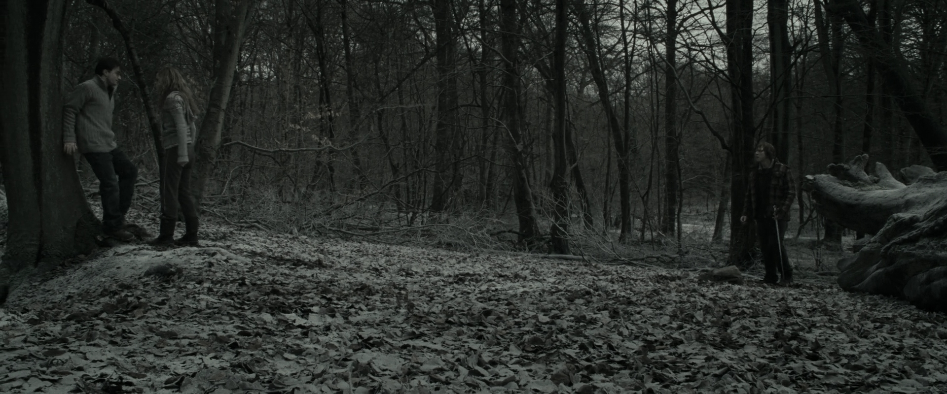 EmmaWatsonFan_dot_nl-HarryPotterAndTheDeathlyHallowsPart1-6010.jpg EmmaWatsonFan_dot_nl-HarryPotterAndTheDeathlyHallowsPart1-6010.jpg