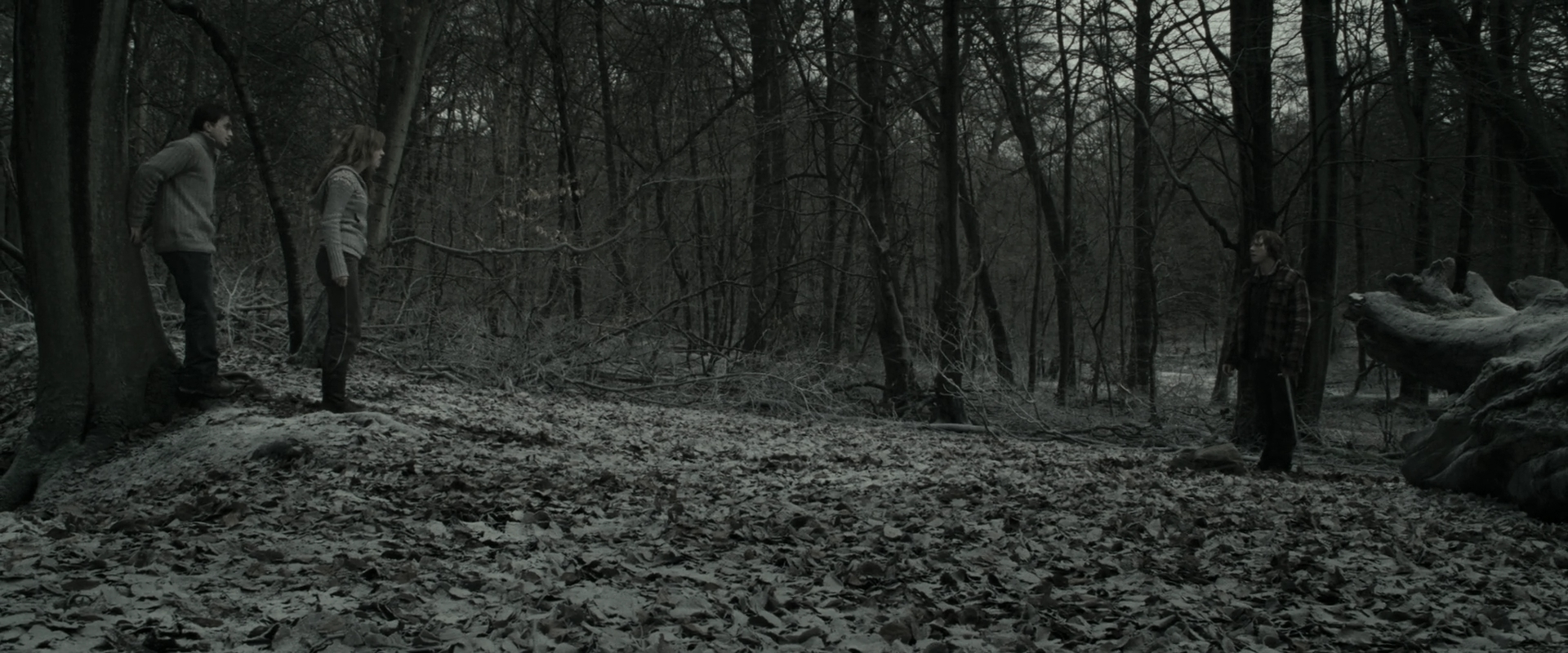 EmmaWatsonFan_dot_nl-HarryPotterAndTheDeathlyHallowsPart1-6013.jpg EmmaWatsonFan_dot_nl-HarryPotterAndTheDeathlyHallowsPart1-6013.jpg