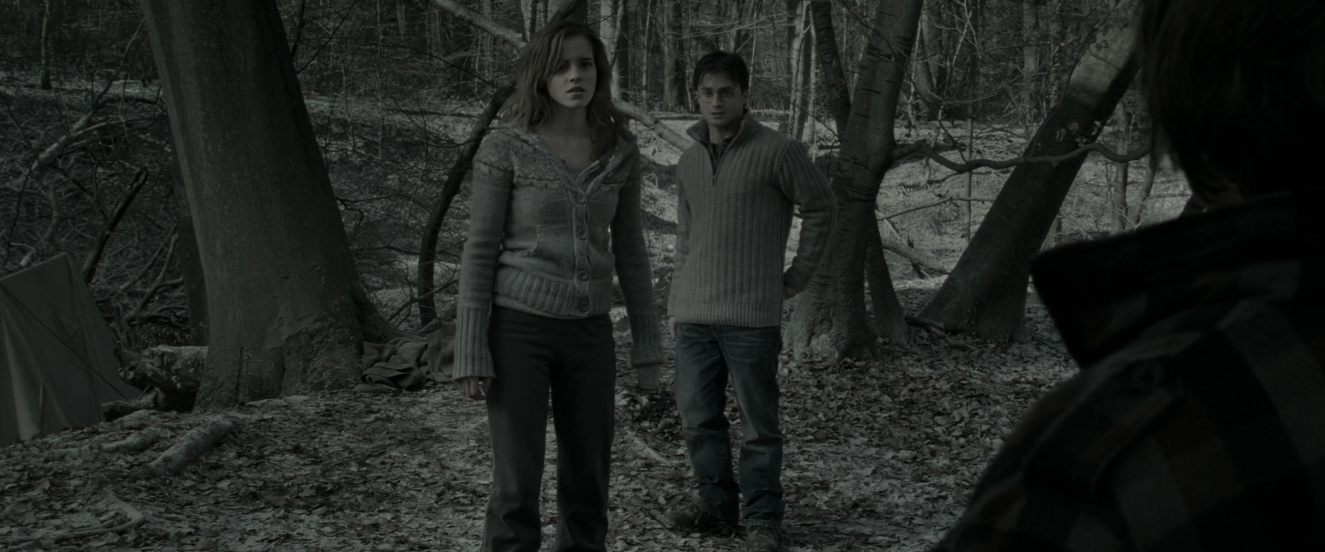 EmmaWatsonFan_dot_nl-HarryPotterAndTheDeathlyHallowsPart1-6034.jpg EmmaWatsonFan_dot_nl-HarryPotterAndTheDeathlyHallowsPart1-6034.jpg