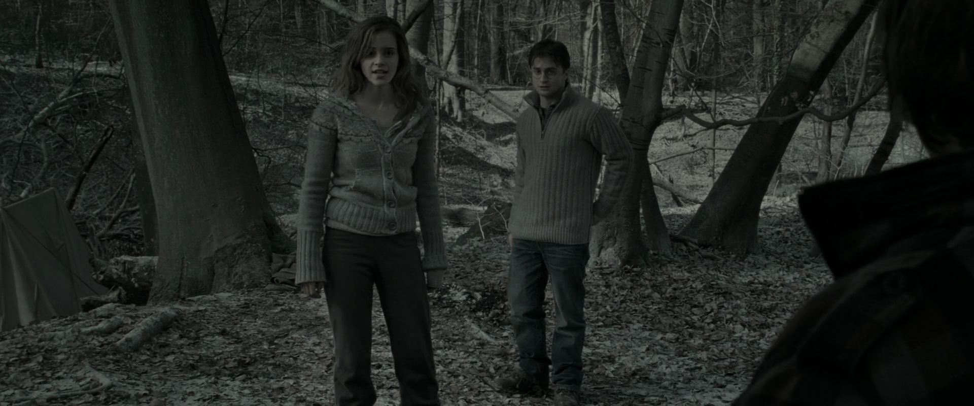 EmmaWatsonFan_dot_nl-HarryPotterAndTheDeathlyHallowsPart1-6035.jpg EmmaWatsonFan_dot_nl-HarryPotterAndTheDeathlyHallowsPart1-6035.jpg