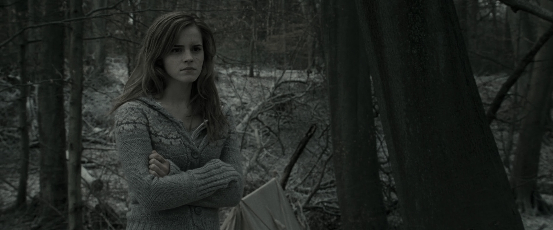 EmmaWatsonFan_dot_nl-HarryPotterAndTheDeathlyHallowsPart1-6070.jpg EmmaWatsonFan_dot_nl-HarryPotterAndTheDeathlyHallowsPart1-6070.jpg