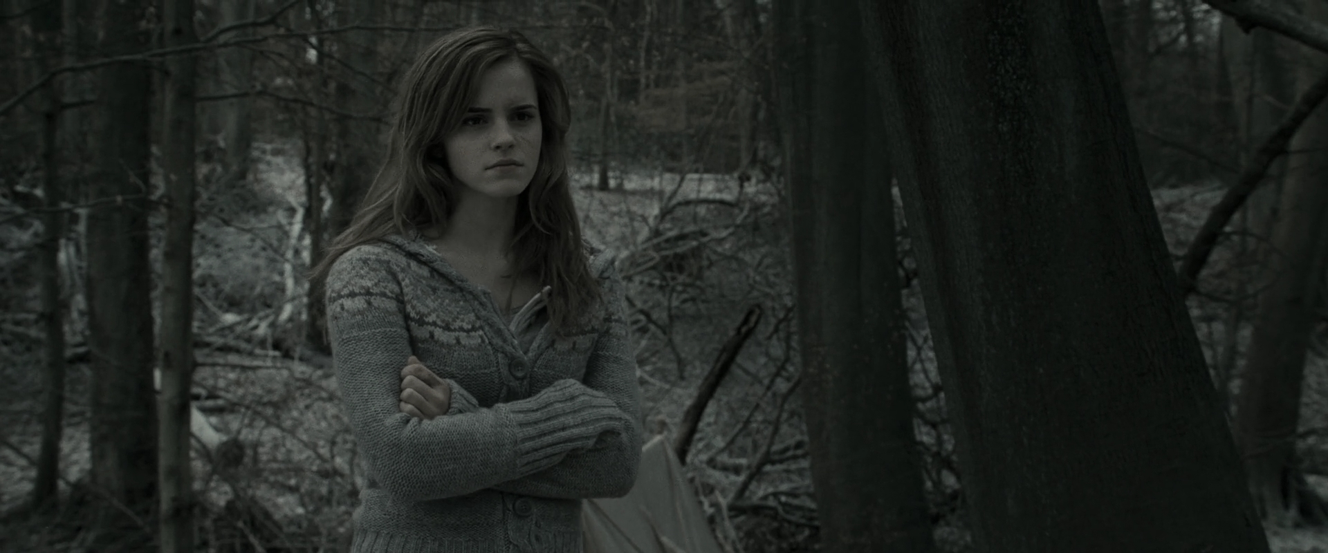 EmmaWatsonFan_dot_nl-HarryPotterAndTheDeathlyHallowsPart1-6071.jpg