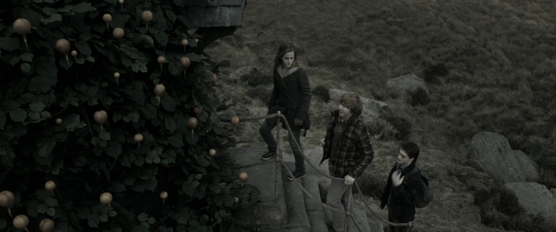 EmmaWatsonFan_dot_nl-HarryPotterAndTheDeathlyHallowsPart1-6301.jpg EmmaWatsonFan_dot_nl-HarryPotterAndTheDeathlyHallowsPart1-6301.jpg