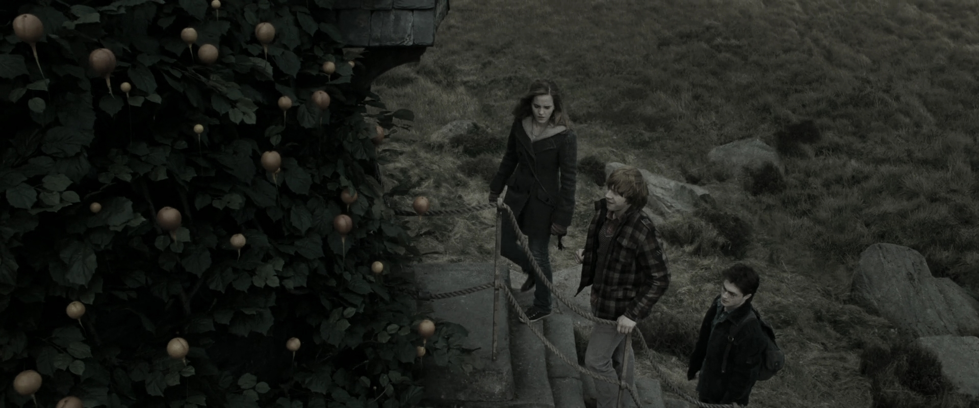 EmmaWatsonFan_dot_nl-HarryPotterAndTheDeathlyHallowsPart1-6302.jpg EmmaWatsonFan_dot_nl-HarryPotterAndTheDeathlyHallowsPart1-6302.jpg