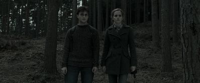 EmmaWatsonFan_dot_nl-HarryPotterAndTheDeathlyHallowsPart1-4597.jpg