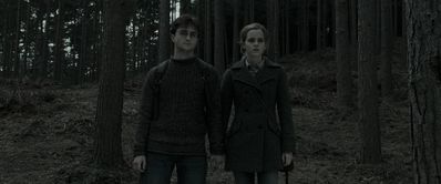 EmmaWatsonFan_dot_nl-HarryPotterAndTheDeathlyHallowsPart1-4601.jpg