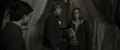 EmmaWatsonFan_dot_nl-HarryPotterAndTheDeathlyHallowsPart1-6251.jpg