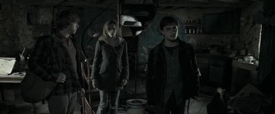 EmmaWatsonFan_dot_nl-HarryPotterAndTheDeathlyHallowsPart1-6750.jpg