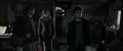 EmmaWatsonFan_dot_nl-HarryPotterAndTheDeathlyHallowsPart1-6760.jpg