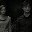 EmmaWatsonFan_dot_nl-HarryPotterAndTheDeathlyHallowsPart1-2810.jpg