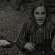 EmmaWatsonFan_dot_nl-HarryPotterAndTheDeathlyHallowsPart1-3800.jpg