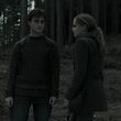 EmmaWatsonFan_dot_nl-HarryPotterAndTheDeathlyHallowsPart1-4596.jpg